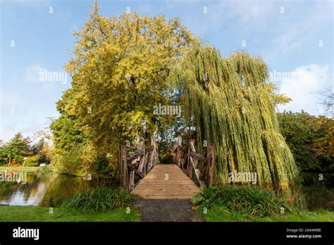 Wooden Bridge Over Water Leading To Large Trees Stock Photo Alamy