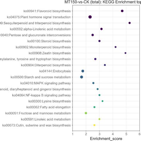 Kegg Functional Classification Analysis Of Degs Under Treated With Mt