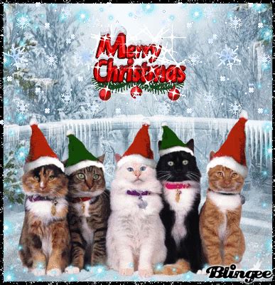 Merry Christmas from some cute cats Picture #127173320 | Blingee.com