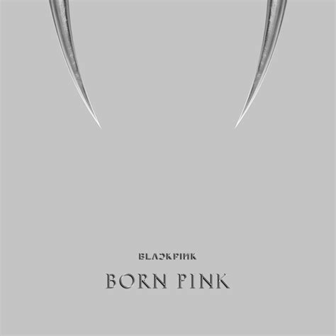 Pin on born pink