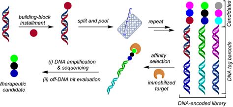 schematic representation  del workflow  scientific diagram