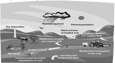 Pdf The Fate Of Pesticide In The Environment Semantic Scholar