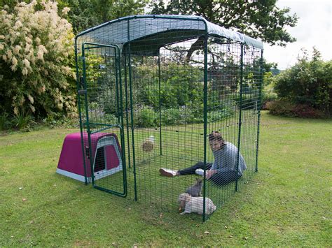 Outdoor Guinea Pig Run | Large Outdoor Guinea Pig Enclosure