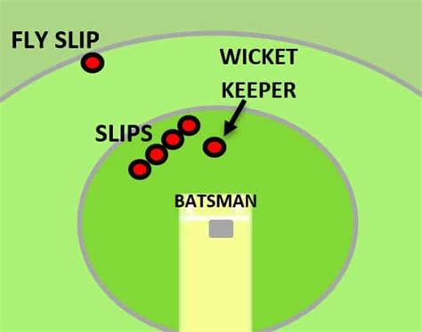 Cricket Fielding Positions Explanations Cricketers Hub