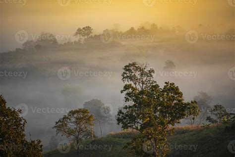 Foggy Landscape Forest In The Morning Beautiful Sunrise Mist Cover