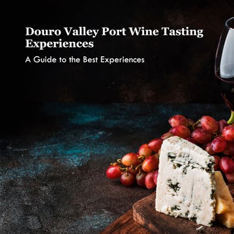 Douro Valley port wine tasting experiences - DWT