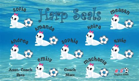 Seals Custom Designed Team Soccer Banner