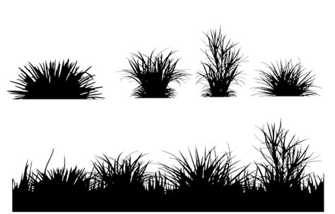 Premium Vector Vector Isolated Silhouette Of Grass On White Background