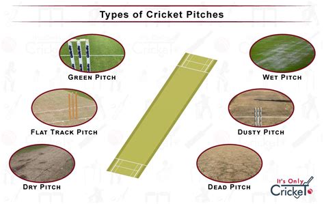 Different Types of Cricket Pitches and How to Read Them