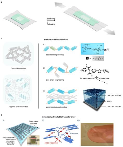 Intrinsically Stretchable Transistors And Circuits A Schematics Of