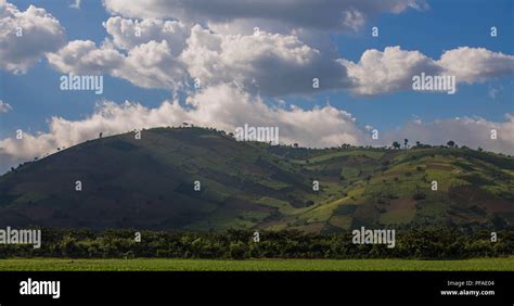 Corn Farming Guatemala Hi Res Stock Photography And Images Alamy