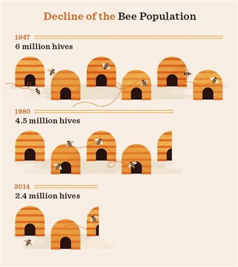 How To Start A Beehive Ask A Prepper