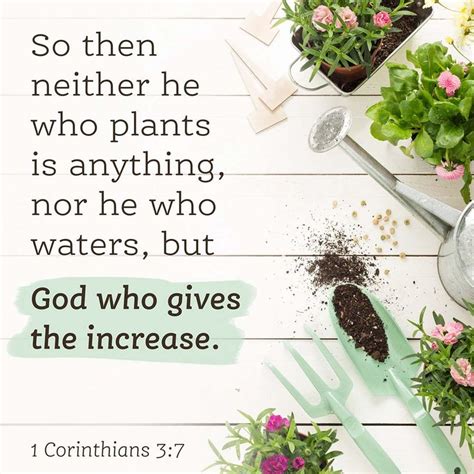 God Gives The Increase