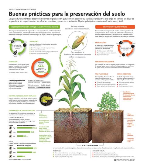 Buenas Pr Cticas Para La Preservaci N Del Suelo Invdes