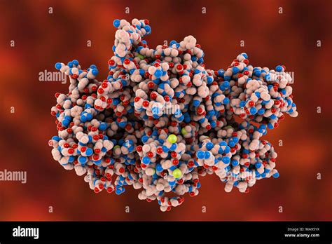 Coagulation Factor High Resolution Stock Photography and Images - Alamy