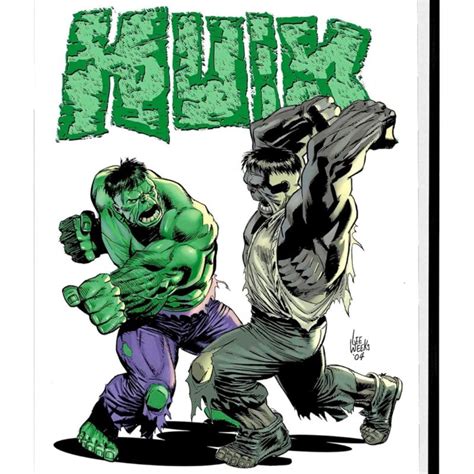 Incredible Hulk Vol Omnibus By Peter David Insightful Jan