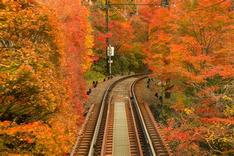 【日本の絶景クイズ】車窓から美しい紅葉が見られるのはどの都道府県？ All About ニュース