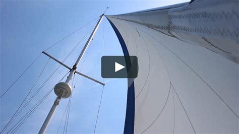 Watch Lazy Gecko Sailing Season 2 Online Vimeo On Demand On Vimeo