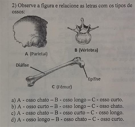 Alguem Me Ajuda A Responder Essa Pergunta Brainly Br