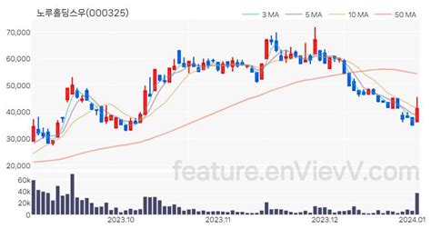 특징주 노루홀딩스우 주가와 차트 분석 20240103 Envievv 특징주 분석