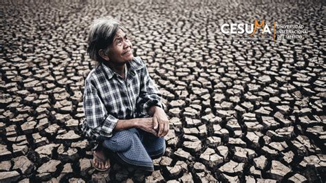 Este Stb Hasznos Consecuencias Del Calentamiento Clim Tico Di Ber