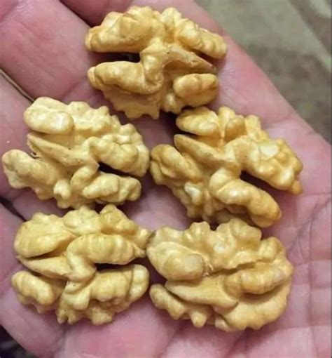 Kashmiri Snow White Walnut Kernels At Rs Kg Walnut Kernels In