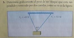 Determina Gr Ficamente El Peso De Un Bloque Que Esta Suspendido Y