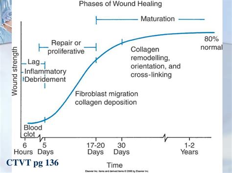 Wound Healing Chart