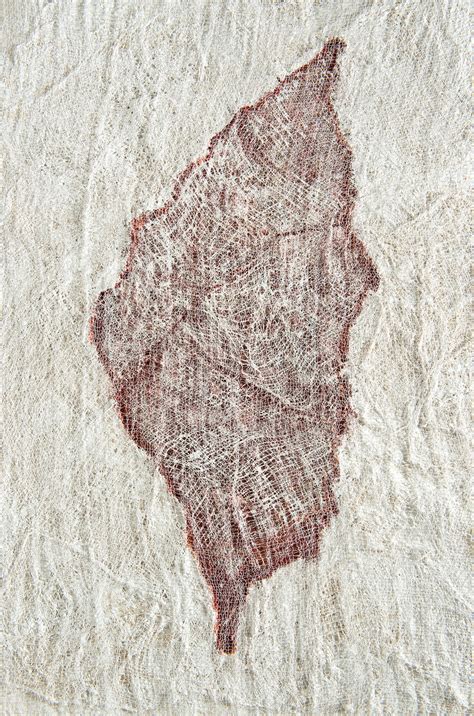 Masada-The Map 2022 | Ariane Littman Ariane Littman