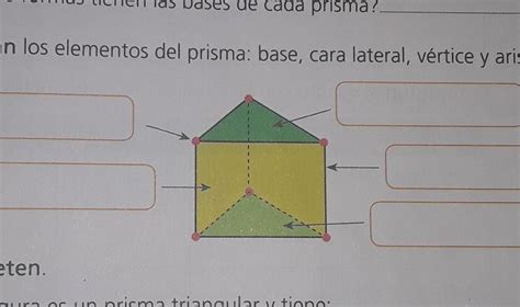 Cuáles son las partes de un prisma triangular Brainly lat