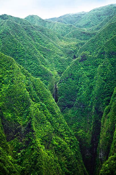 Oahu Waterfall Stock Photos, Pictures & Royalty-Free Images - iStock