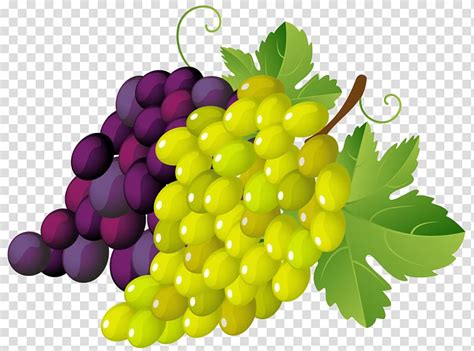 Bunch Of Grapes Grapevines Xchng Painted Grapes Transparent