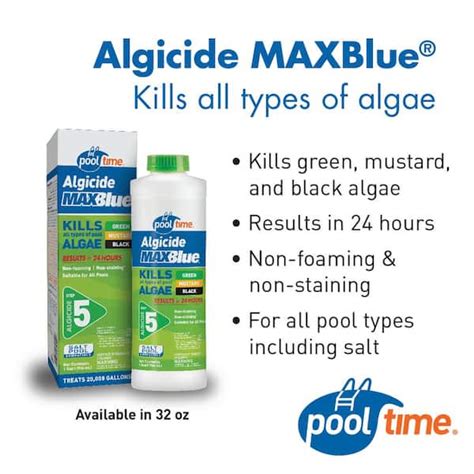 Homemade Algaecide For Pools Homemade Ftempo