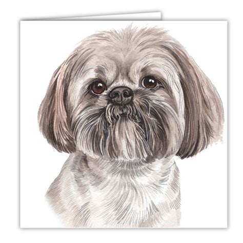 Lhasa Apso Dog Art Card / Greetings Card (AC-207) - WaggyDogz