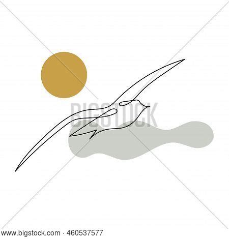 Flying Seagull Line Vector & Photo (Free Trial) | Bigstock