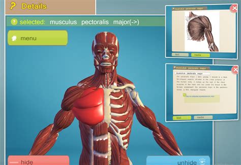 13 Best Anatomy Apps For Android And Ios Freeappsforme Free Apps For Android And Ios