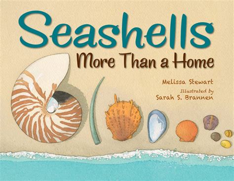 Seashells: More Than a Home by Melissa Stewart, illustrated by Sarah S ...