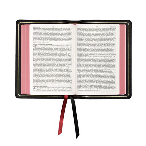 Steadfast Limited: NASB Large Print Compact - Edge-Lined Goatskin — 316 Publishing