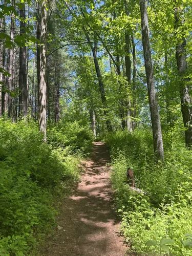 Best Hikes And Trails In Patuxent River State Park Alltrails