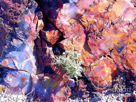 Mineral Deposited Arizona Rock Wall Photograph By Merton Allen Fine