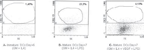 Detection Of Cd83 Expression On Dendritic Cells By Flow Cytometry