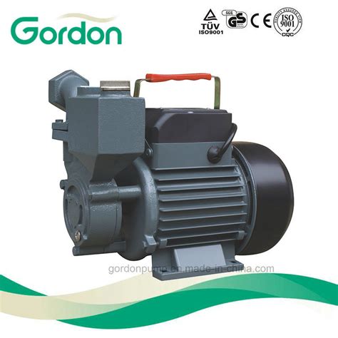 Wzb Copper Surface Self Priming Booster Agricultural Pressure Pump