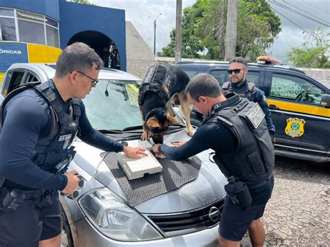 Prf E 1º Biesp Apreendem Cocaína Dentro De Assoalho De Carro Em Caruaru