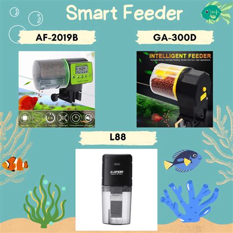 Jual Smart Feeder Automatic Alat Pemberi Makan Ikan Otomatis Food