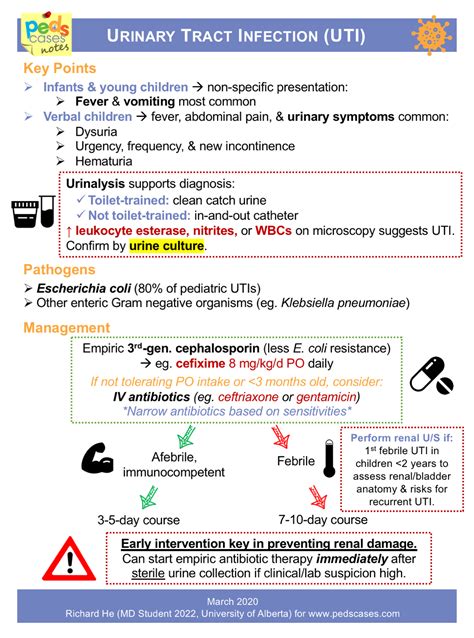 Urinary Tract Infection (UTI) | PedsCases