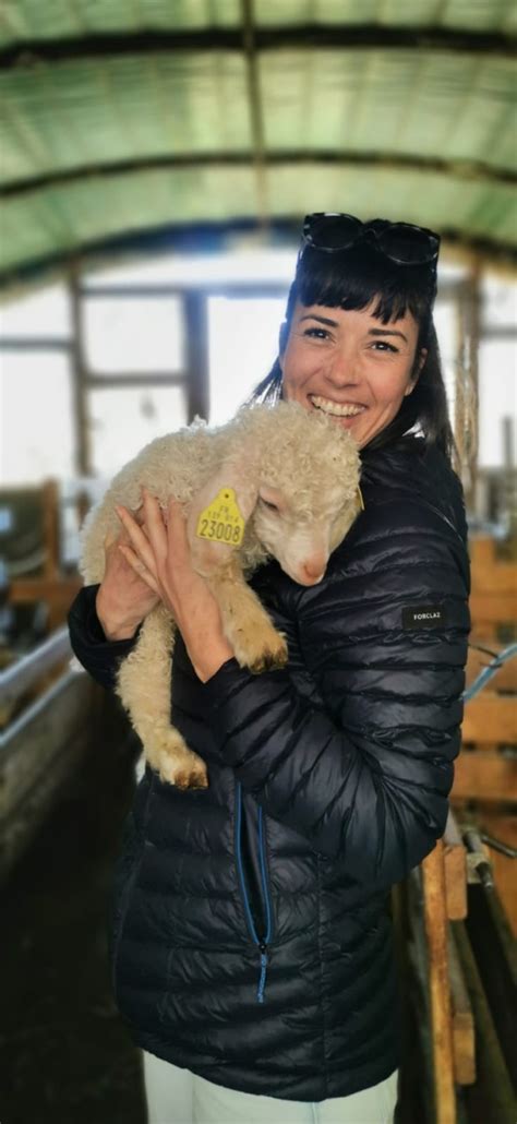 Wecandoo Découvrez un élevage de chèvres Angora et leur belle toison