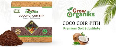 Amazon Grow Organiks Pack Of 10 Organic Coco Coir Bricks 100