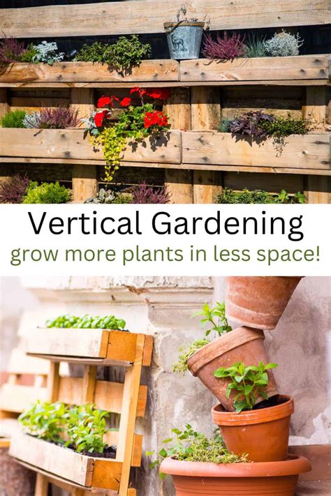 Easy Vertical Gardening Ideas - Herb Gardening Ideas