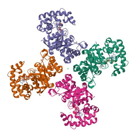 Rcsb Pdb Zsx Crystal Structure Of Human Potassium Channel Kv Beta