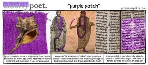 Purple Patch English Idiom Illustrated Idiom English Learnenglish